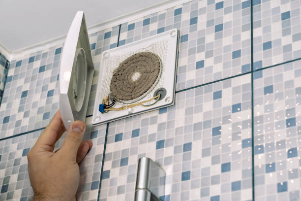 Best HVAC System Cleaning  in Eustis, FL