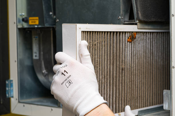 Best Affordable Duct Cleaning Services  in Eustis, FL