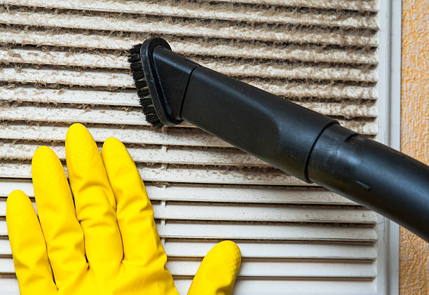 Best Dryer Vent Cleaning Services  in Eustis, FL